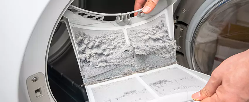 Best Dryer Lint Removal Company in Dumont, New Jersey