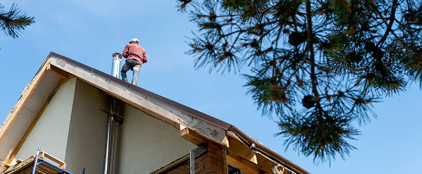 Birds Removal Contractors from Chimney in Dumont, NJ