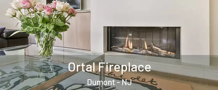 Ortal Fireplace Dumont - NJ