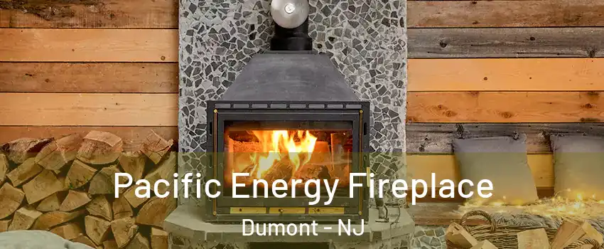  Pacific Energy Fireplace Dumont - NJ